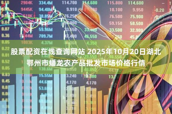 股票配资在线查询网站 2025年10月20日湖北鄂州市蟠龙农产品批发市场价格行情
